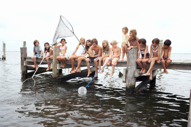 Donec pulvinar elit sapien,